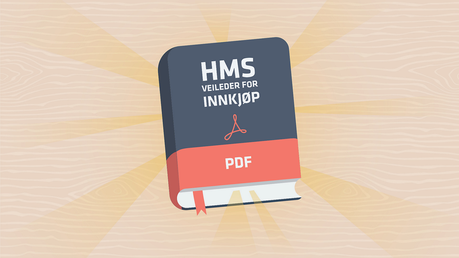 Kun til bruk for veileder HMS ved innkjøp.