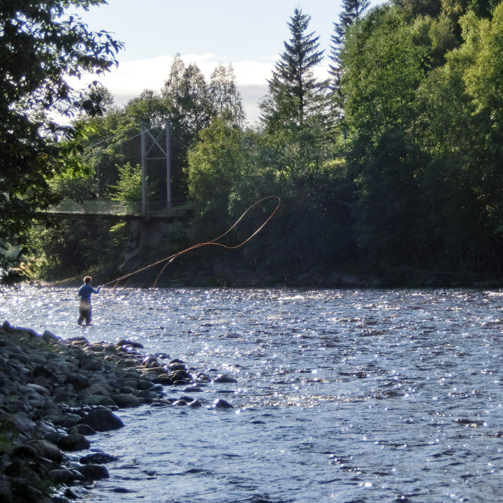 Foto: Fiske i Stjørdalselva