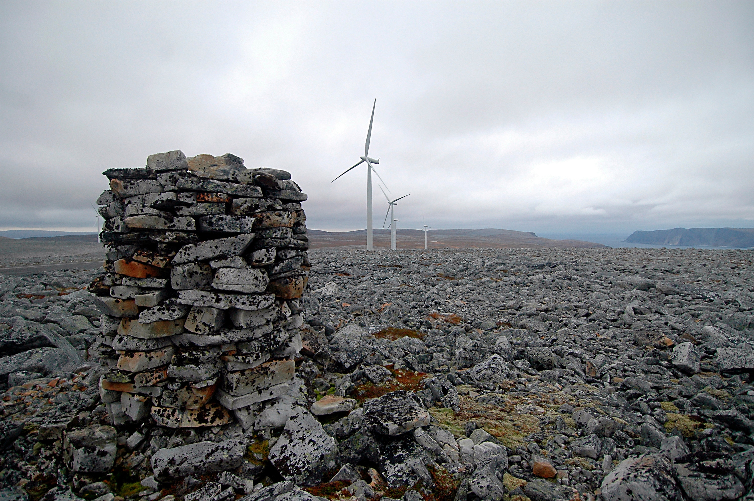 Roan vindpark på fjellet med en vei opp til vindmøllene. Foto