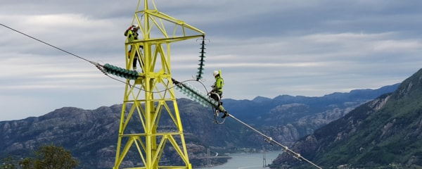 Strømmaster i naturen