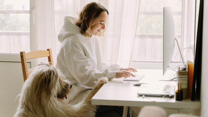 Ung dame sitter og jobber foran en mac mens en hund vil ha oppmerksomhet. Foto
